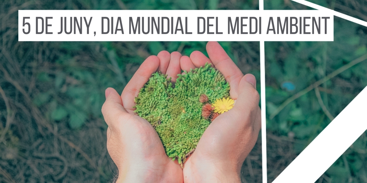 5-de-juny-dia-mundial-del-medi-ambient