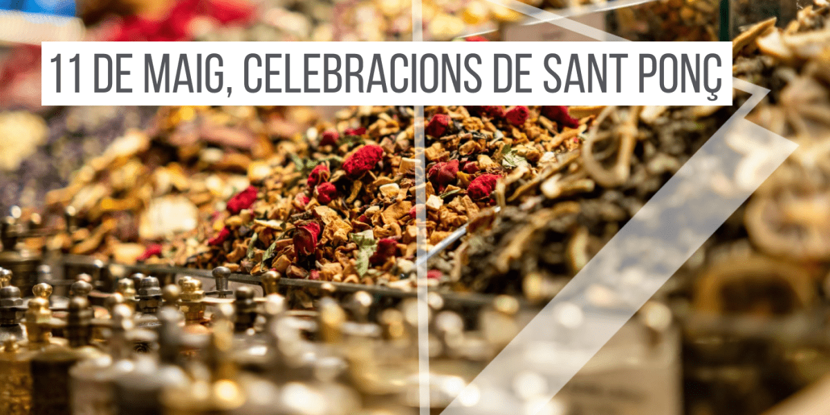 celebracions-sant-ponc