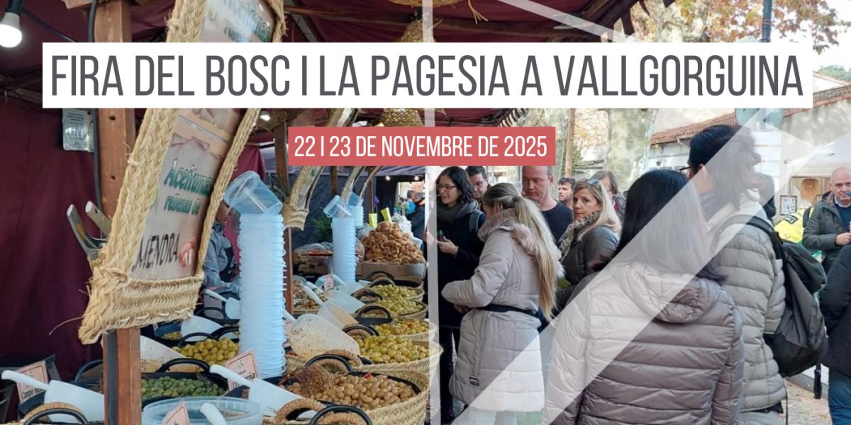 fira-bosc-i-pagesia-vallgorguina