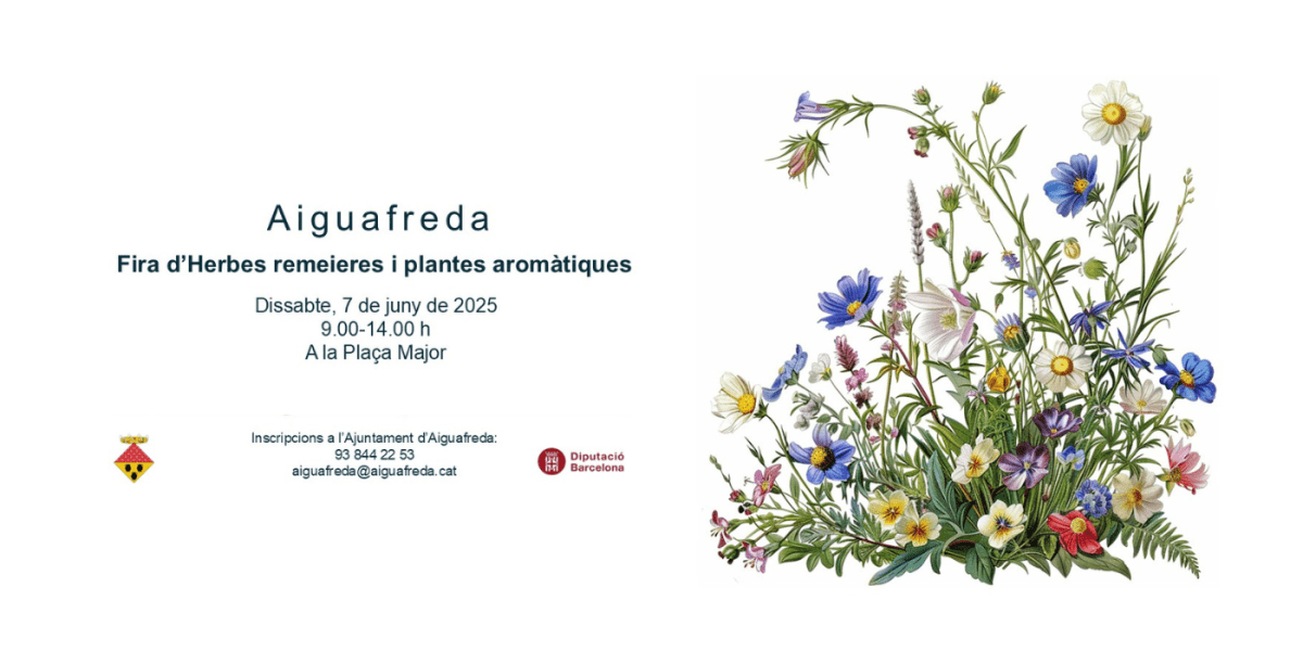fira-d-herbes-remeires-i-plantes-aromatiques-a-aiguafreda