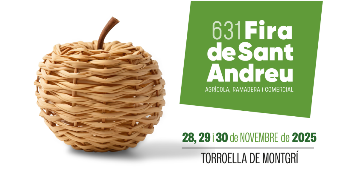 fira-sant-andreu-torroella-de-montgri