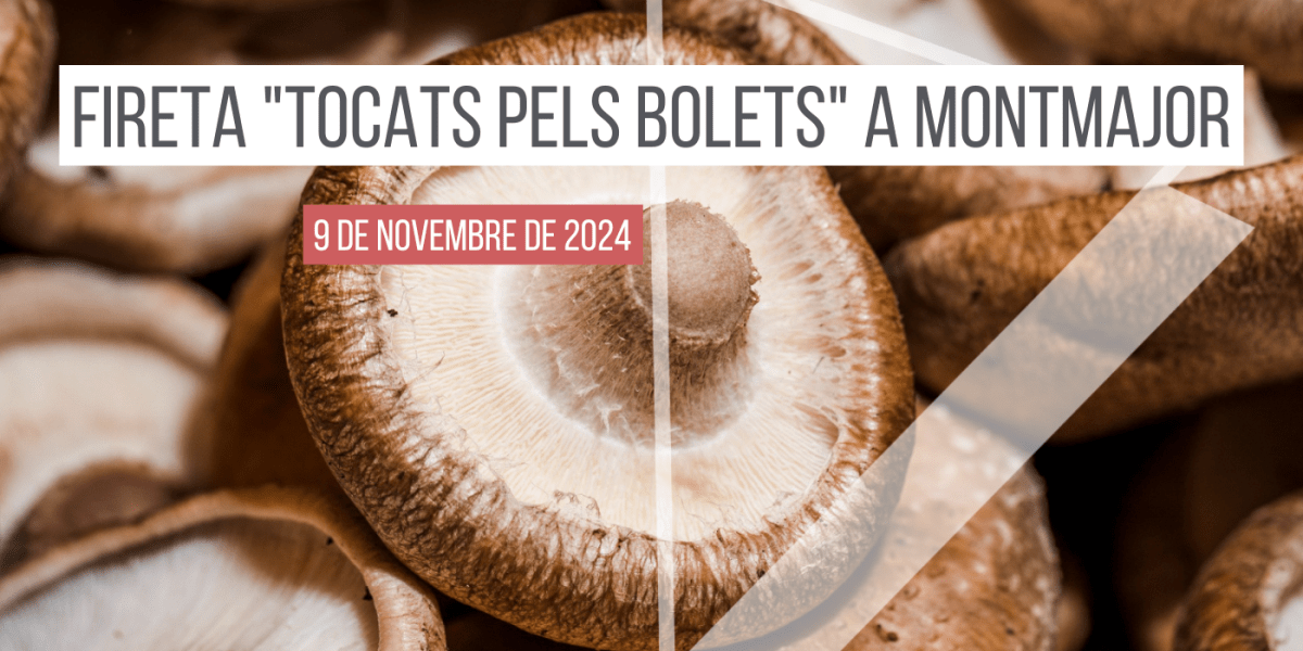 fireta-tocats-pels-bolets-montmajor