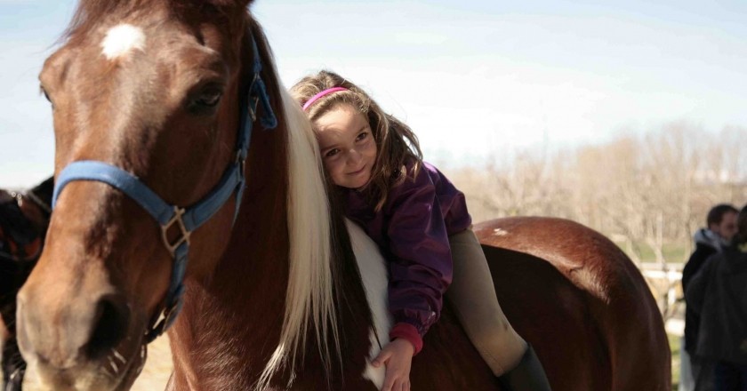 Activities with animals for the family