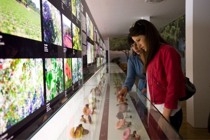 Descubriendo los museos de la provincia de Tarragona