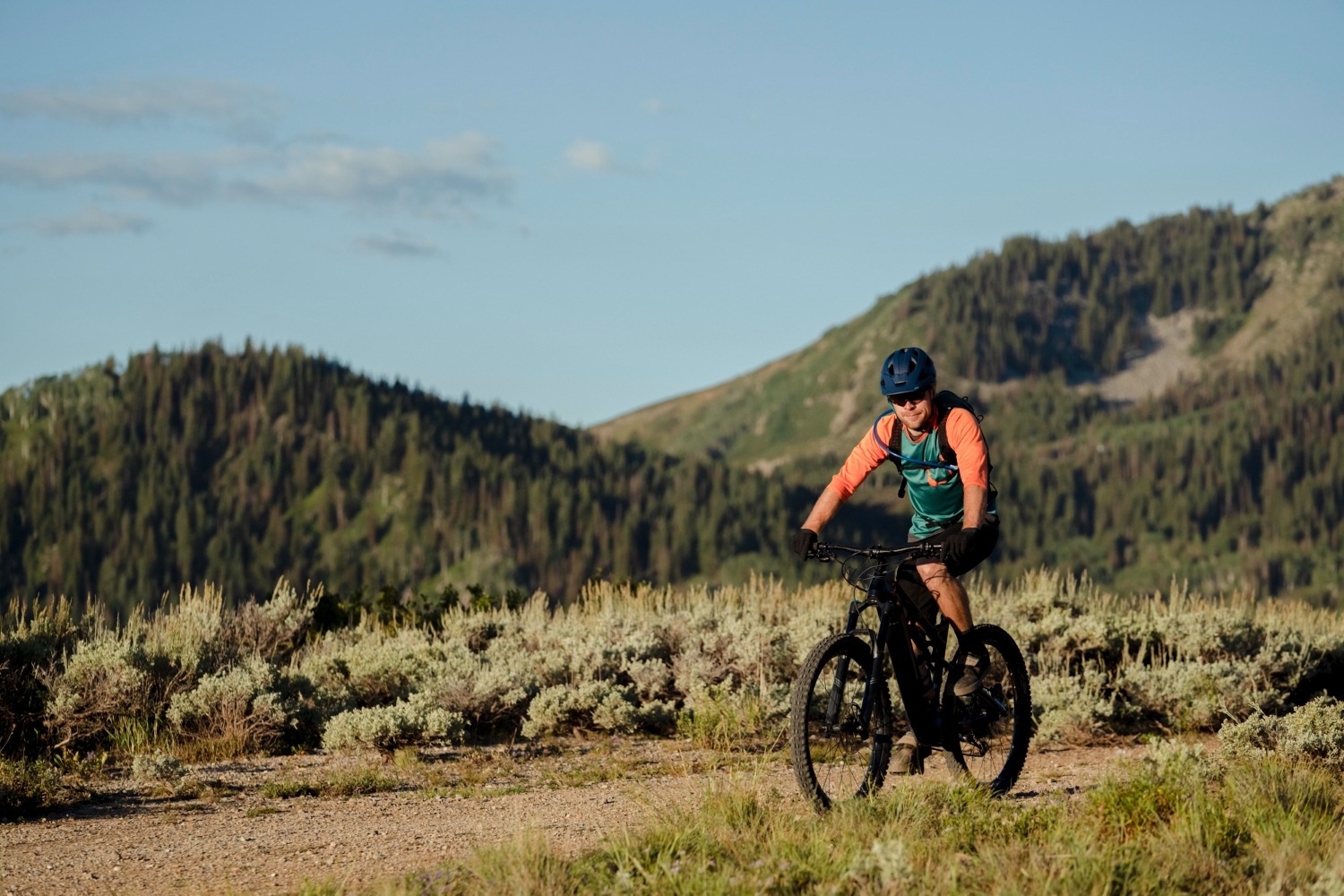 The territory from the pedals of a bicycle