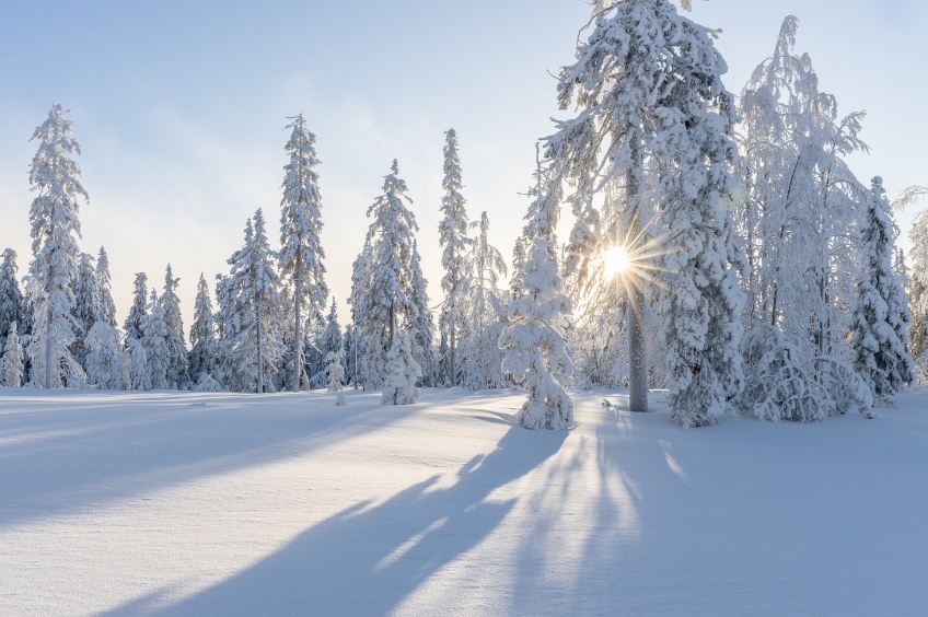 Profitez de la neige avec vos cinq sens!