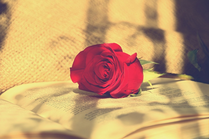 The Day of Books and Roses: Sant Jordi