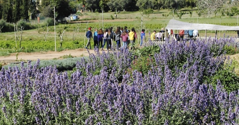 Pasea entre colores y naturaleza en los Parques de los olores de Cataluña