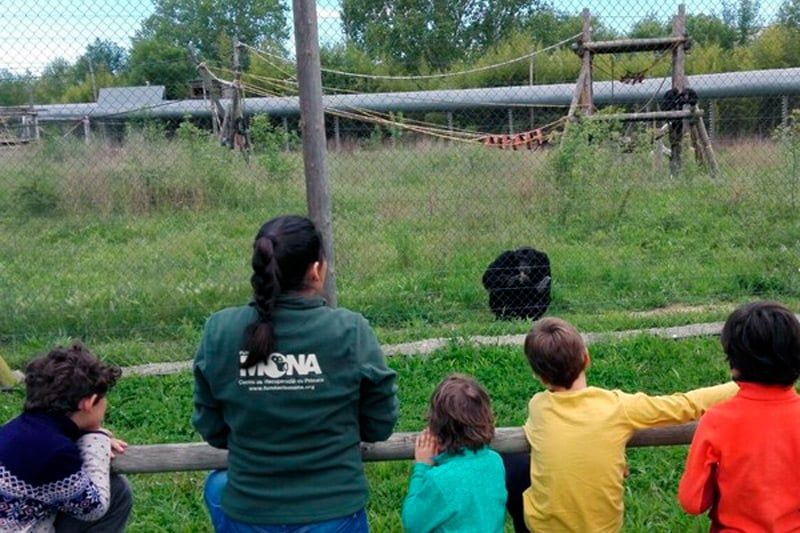 Fundació Mona