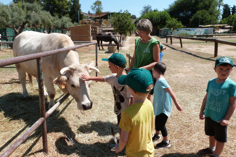 Corral de Neri