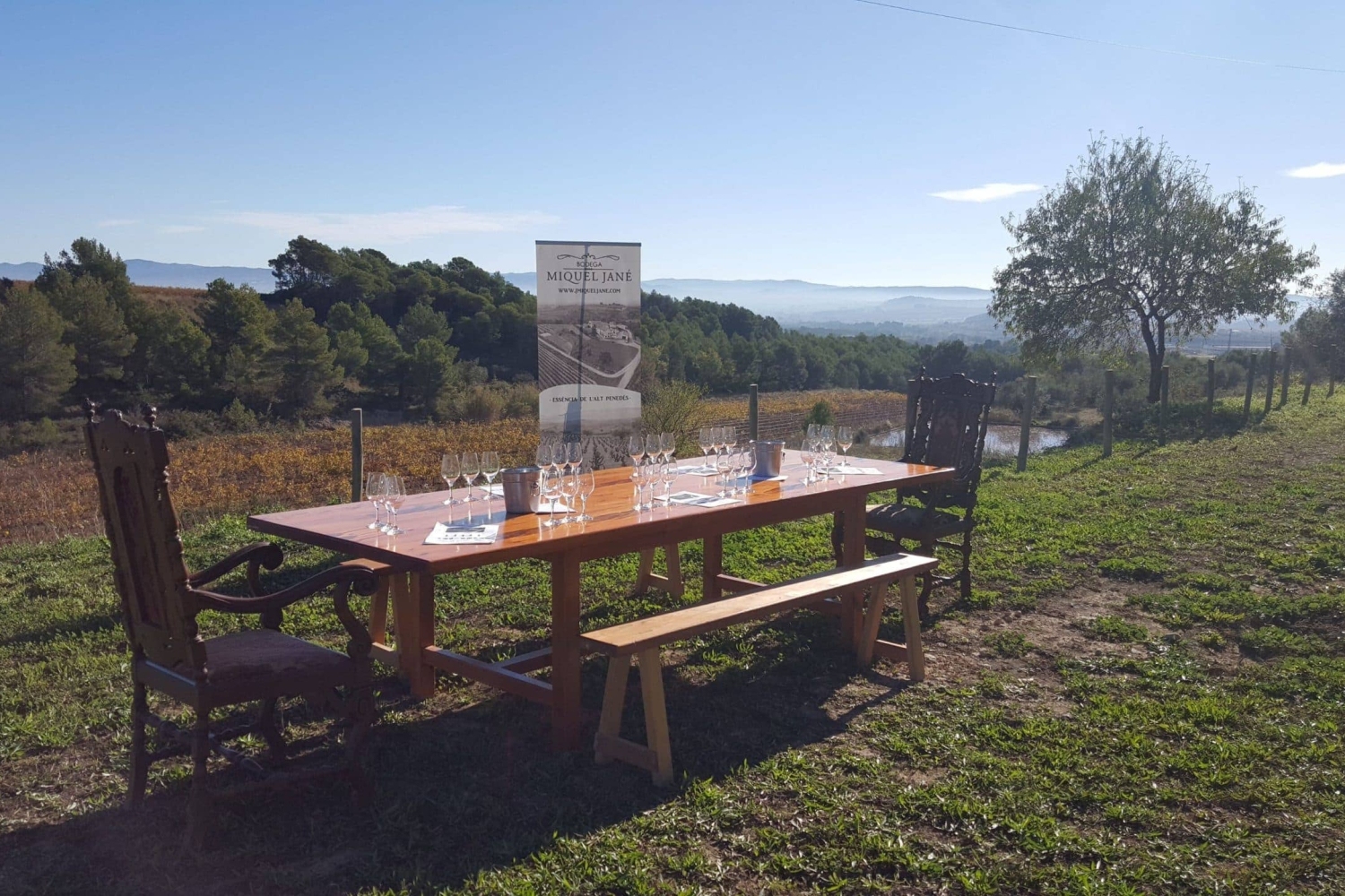 Miquel Jané Winery