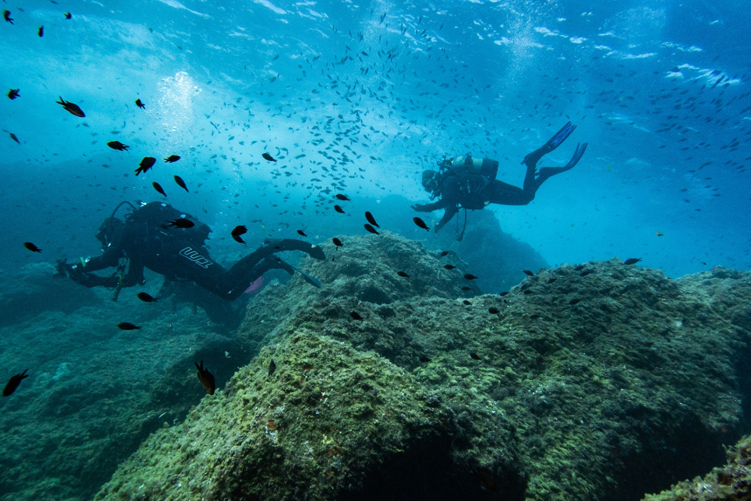 Scuba Diving in Palafrugell