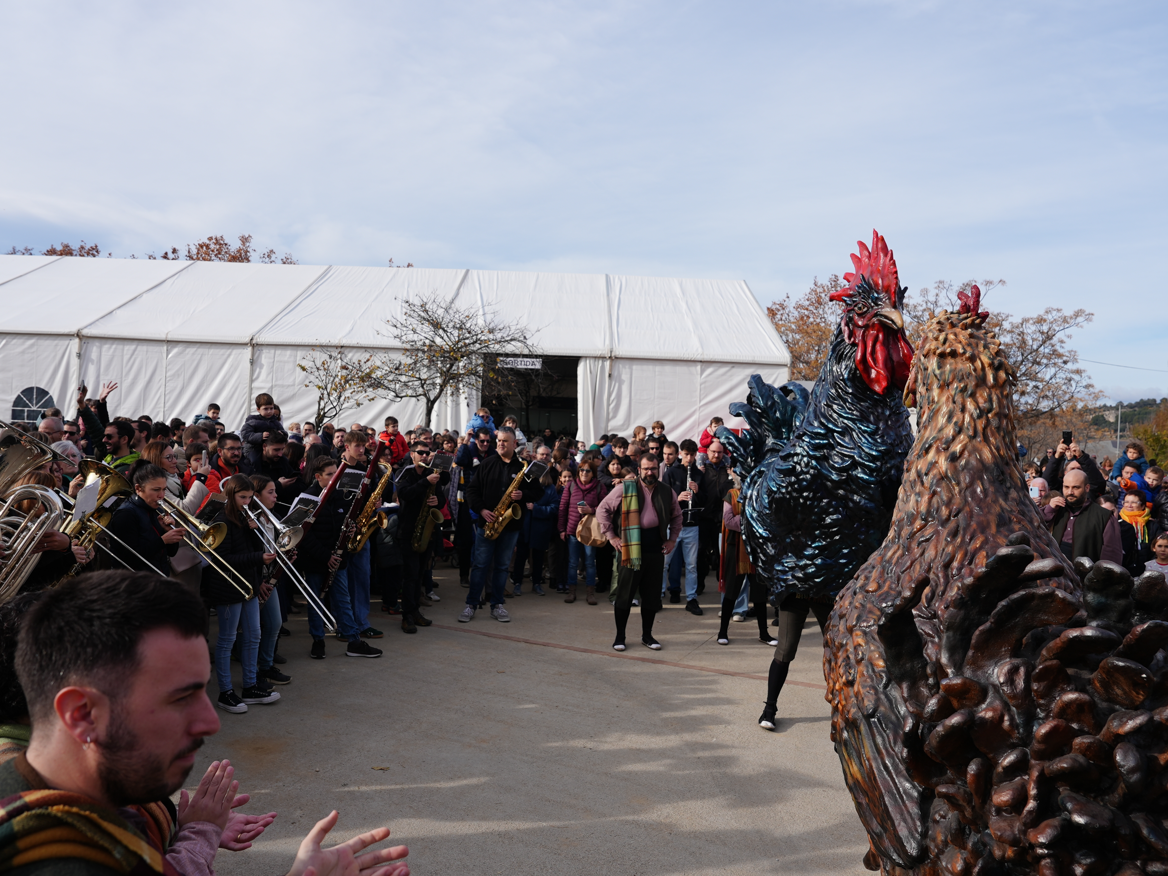 Tomasot et Ballarica