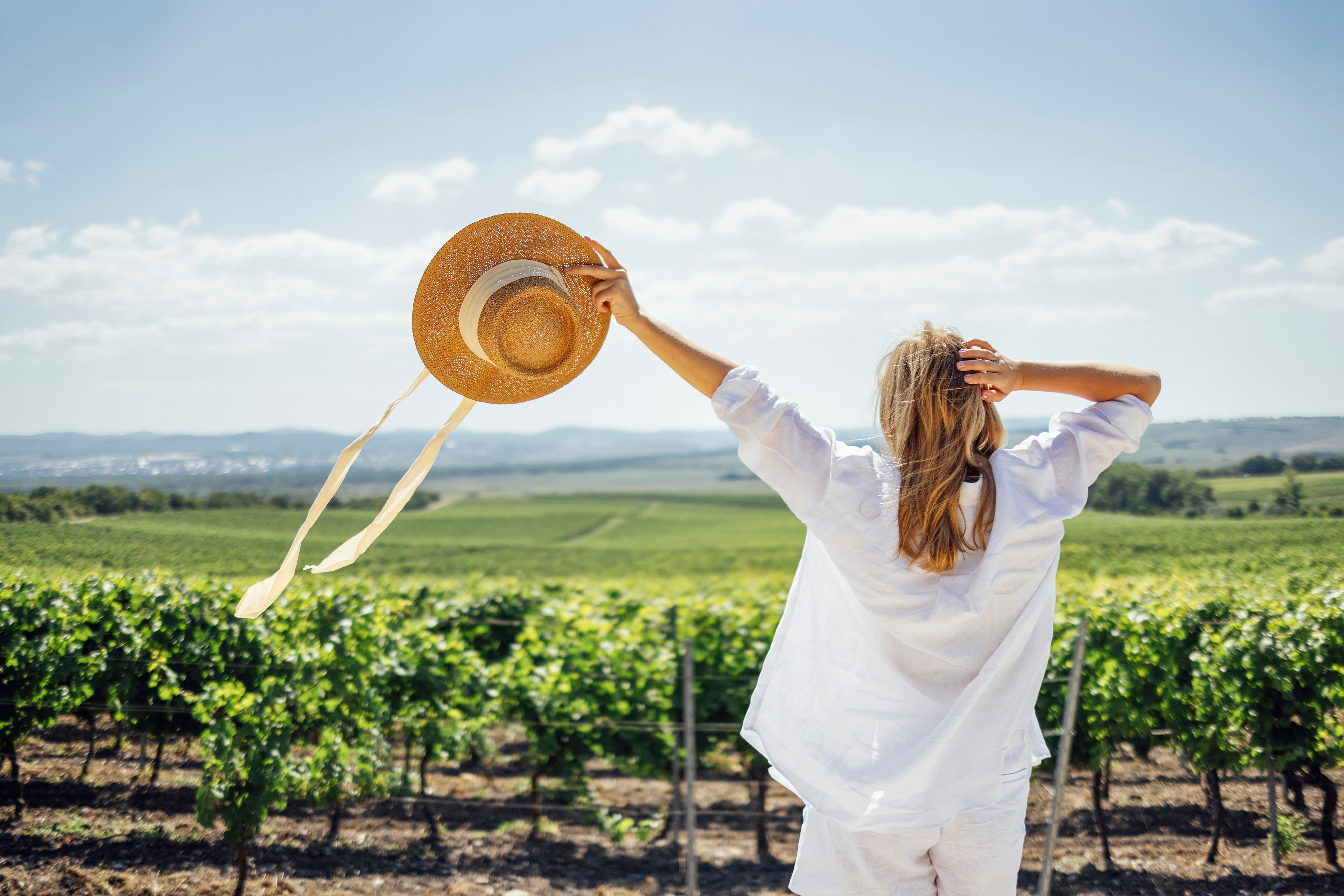 The Cava Vineyard