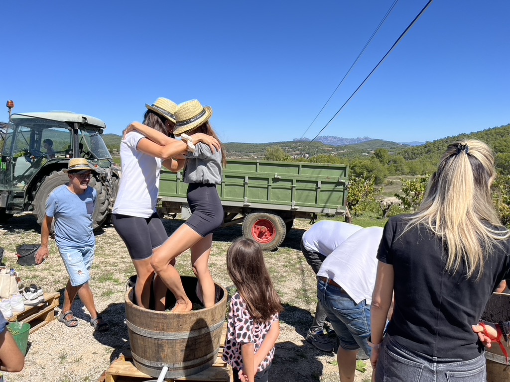 The Cava Vineyard