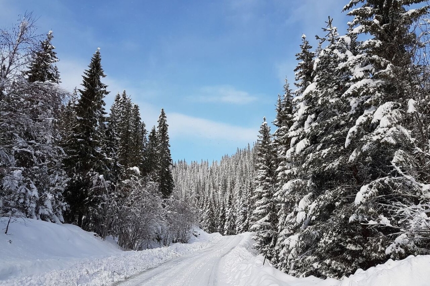 Conduire en Terre Viking: Guide Complet pour un Roadtrip en Norvège