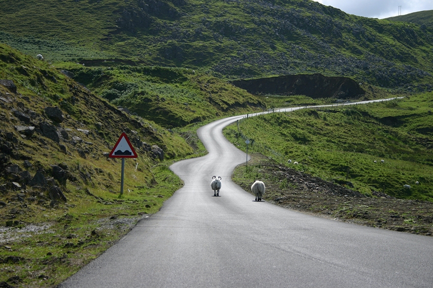 De Edimburgo a las Tierras Altas: Una Ruta Completa por Escocia en Coche