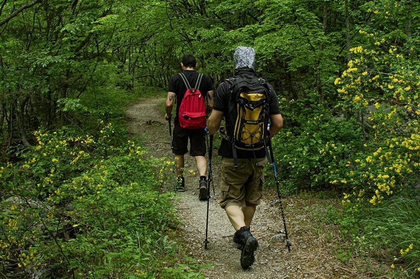 From Montserrat to Alcarràs: The 6 key stages of the Catalan Camino de Santiago