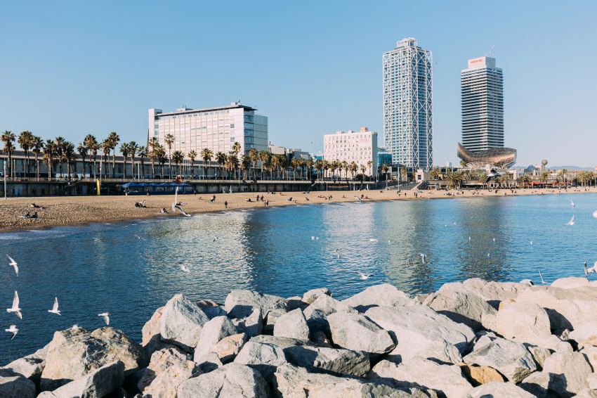 Els millors restaurants del port olímpic de Barcelona