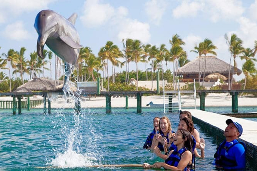 Excursions pour cet été à Punta Cana