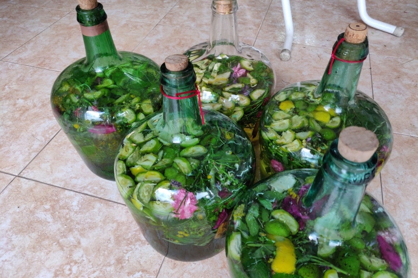 The art and recipe of ratafia: tradition, flavor, and nature in a bottle