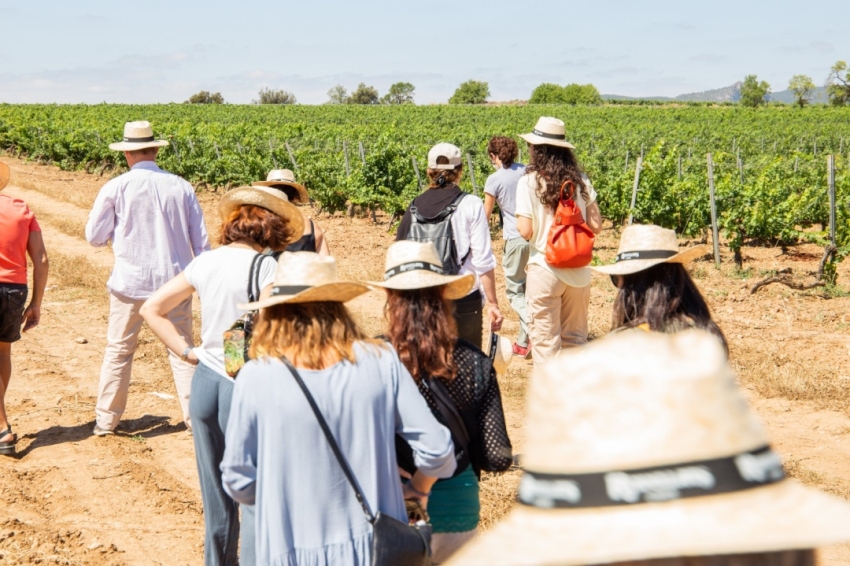 Le Cava Spring revient en mai avec 16 activités au milieu des vignes!