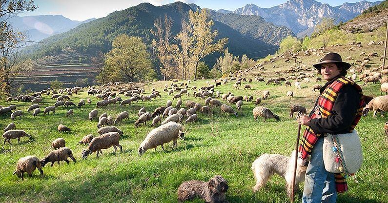 Pasturisme, surt a pasturar!