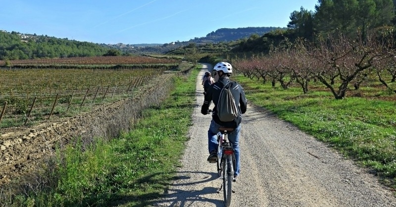 Sorteig: Guanya una visita en bicicleta i un tast de vins