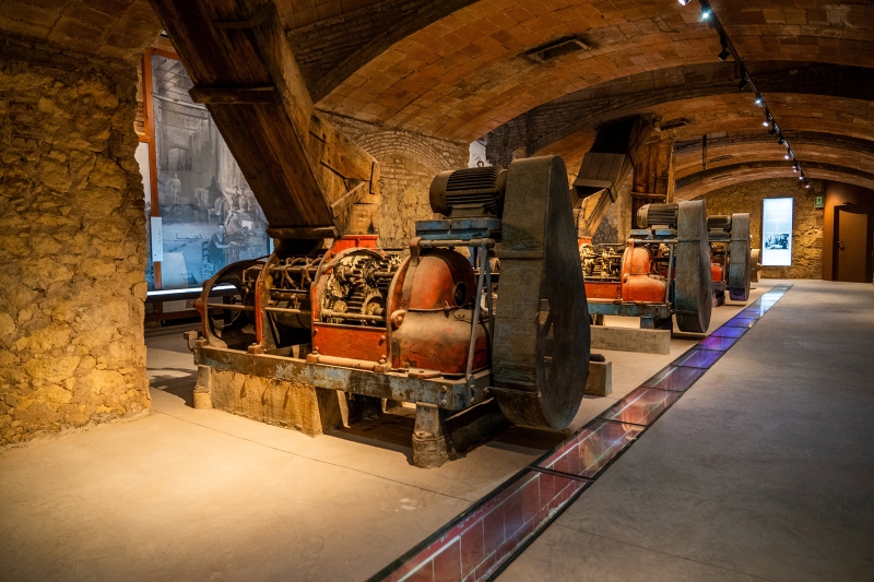 Visitez le Celler de Vila-seca - Musée Expérientiel du Vin!