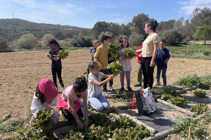 Activitat escolar 'Del camp a la panxa', Cases Blanques Espai Ecosostenible