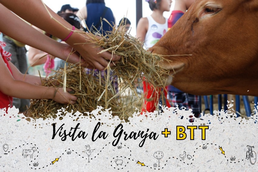 Actividad Escolar: Circuito en BTT, visita a la granja y juegos tradicionales