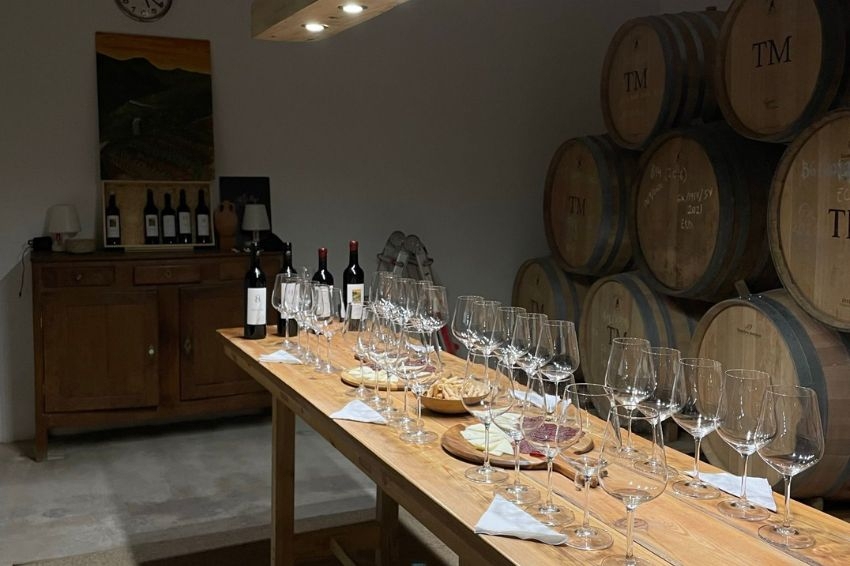 Wine tasting - Xalet de Prades