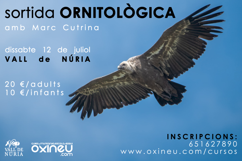 Birdwatching trip to Vall de Núria with OXINEU Mountain Guides