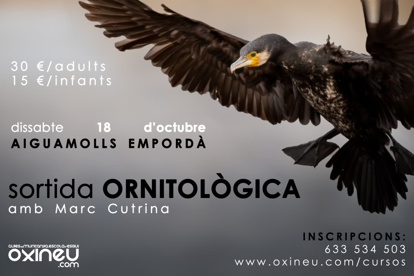 Ornithological outing to the Aiguamolls de lEmpordà
