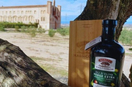 Sabors dOlivera: Tast, terra i tradició a Mas de Colom, Casa Borges