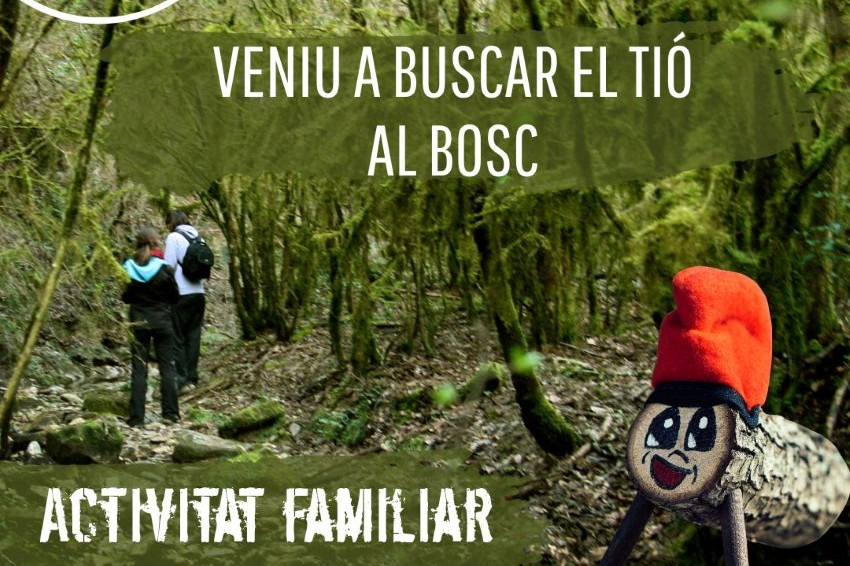 Buscar el Tió amb Fang Aventura