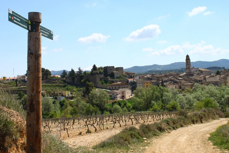 Rocafort de Queralt (Paisatge Rocafort De Queralt )