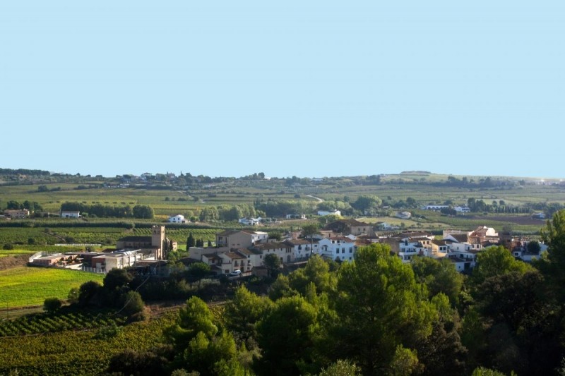 Vilobí del Penedès (Paisatge Del Poble)