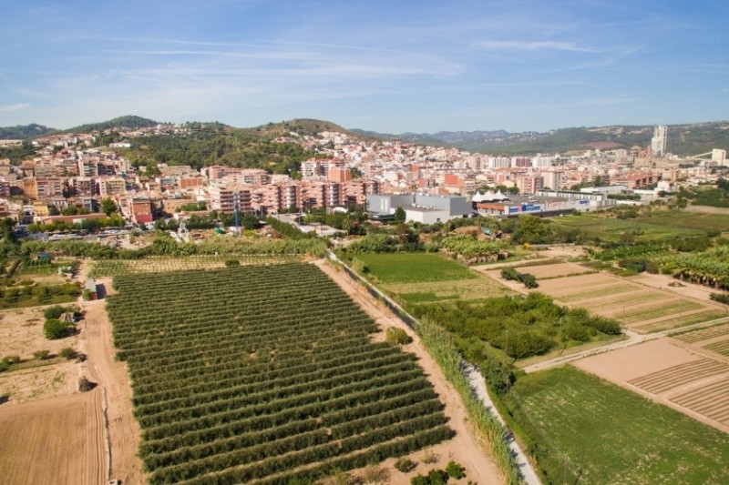 Sant Vicenç dels Horts (Sant Vicenc Dels Horts)