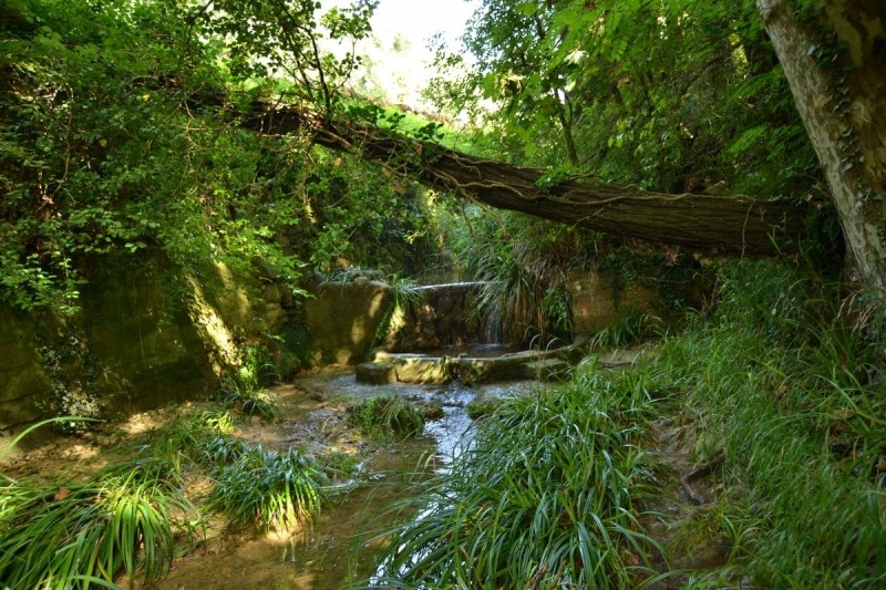 cap sarria de ter