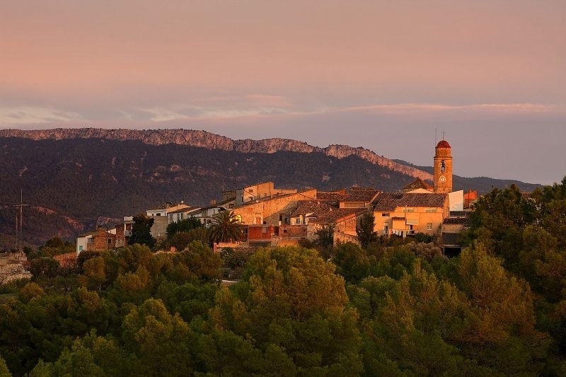 Els Guiamets (Panoramica Els Guiamets)