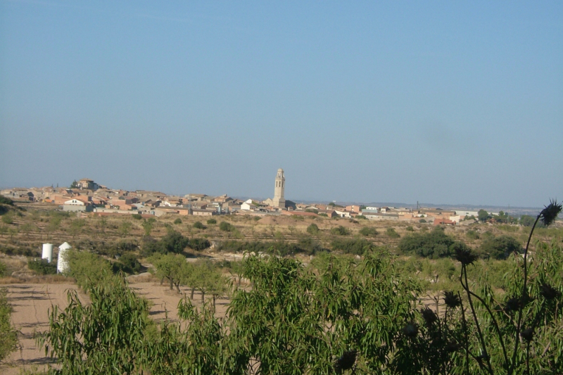 Sant Martí de Riucorb (Sant Marti De Riucorb)