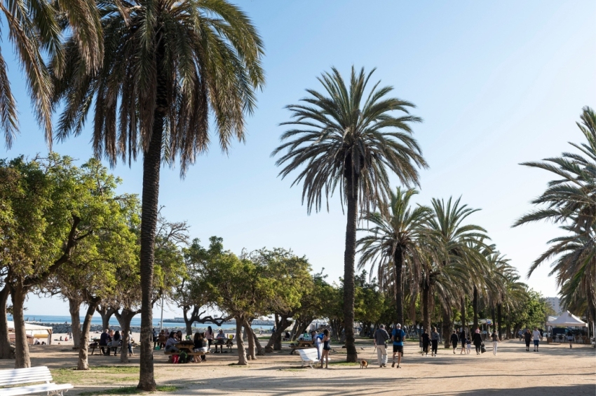 Mataró (Maresme - Barcelona) Tota la informació turística. Decobreix-lo! |  femturisme.cat