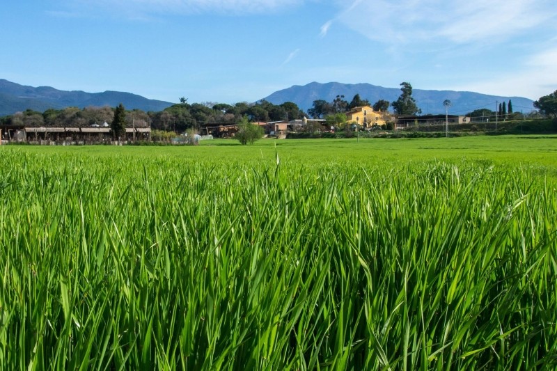 Sant Antoni de Vilamajor (Vallès Oriental Barcelona) Toda la