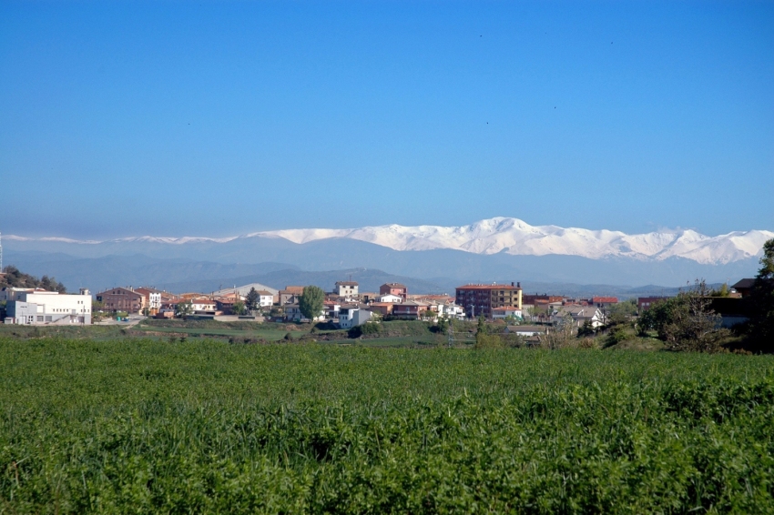 Sant Bartomeu del Grau