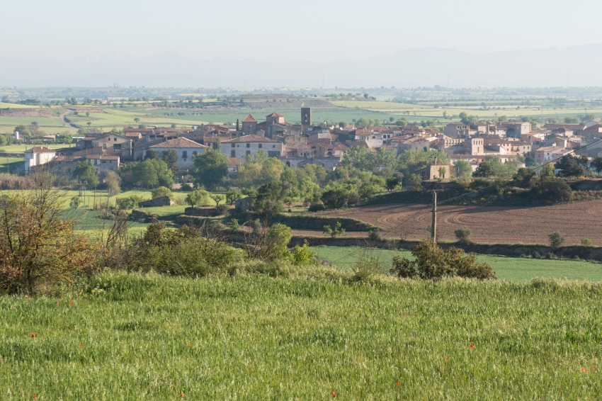 Tarroja de Segarra