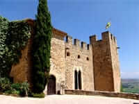 Castell de Montsonís