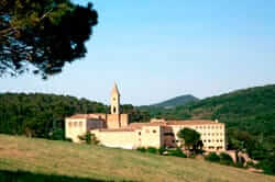 Montesir de les Avellanes (Ruta de la mel)