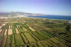 Platja de La Rubina (Empordà Marshes)