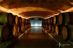 Celler Les Graveres (DO Costers del Segre)